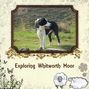 Exploring Whitworth Moor