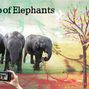 Newby Challenge Entry - Trio of Elephants