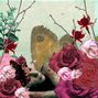 Fairy Bed Of Roses