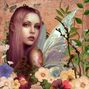 Fairy