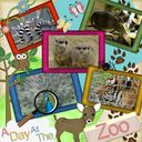 A day at the zoo