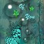 Butterfly Thoughts
