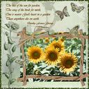 Sunflowers Sunflowers