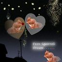 Even Squirrels Dream Even Squirrels Dream