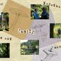 mum & dad day out scrapbook page 2012