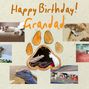 grandads birthday from the pets 2012