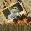 squirrel squirrel