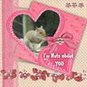 Nuts about you Nuts about you