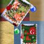 Cactus Garden Gift