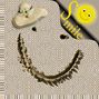 A Super Smile