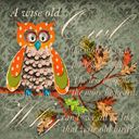 Wise old owl