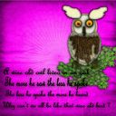 Wise owl