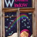 window window