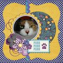 Cat Cat
