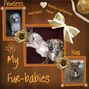 My Fur-Babies