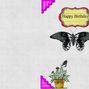 Project1-butterflies-001