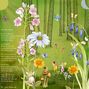 Fairy Dance
