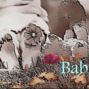 Babi