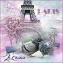 Je t'aime Je t'aime