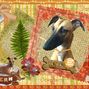 Fern Collage