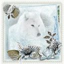 White Wolf White Wolf