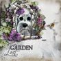 Lost Garden