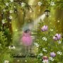 Enchanted Forest
