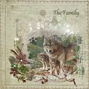 The Family The Family