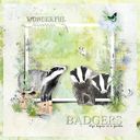Badgers Badgers